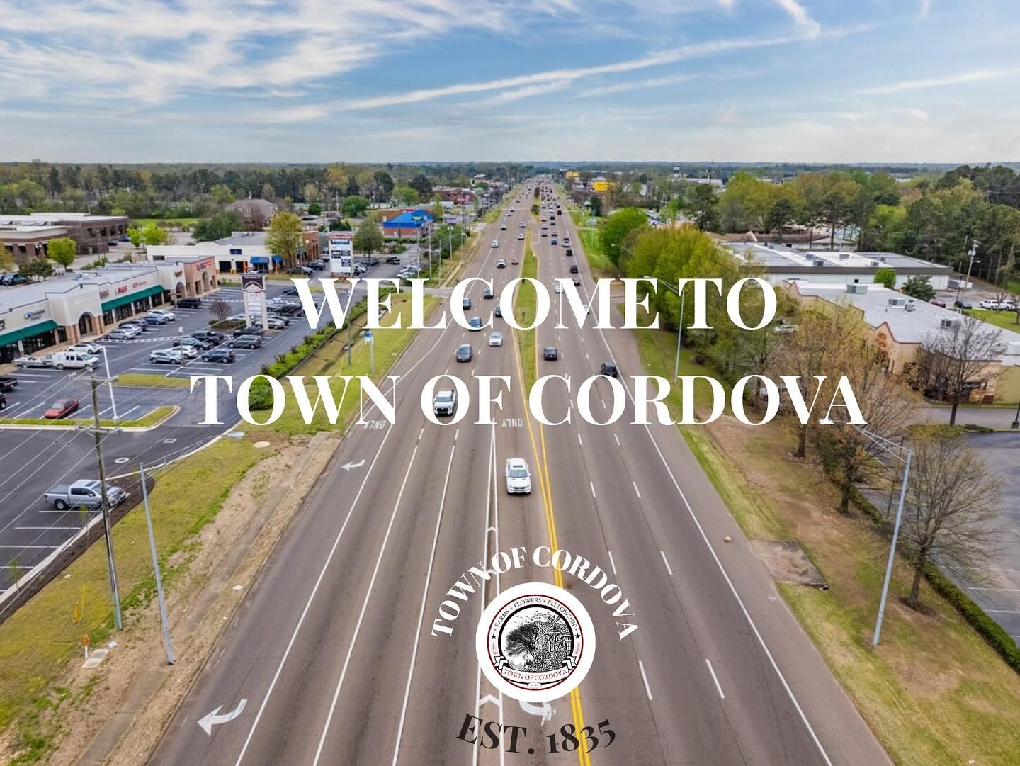 Pest Control in Cordova, TN