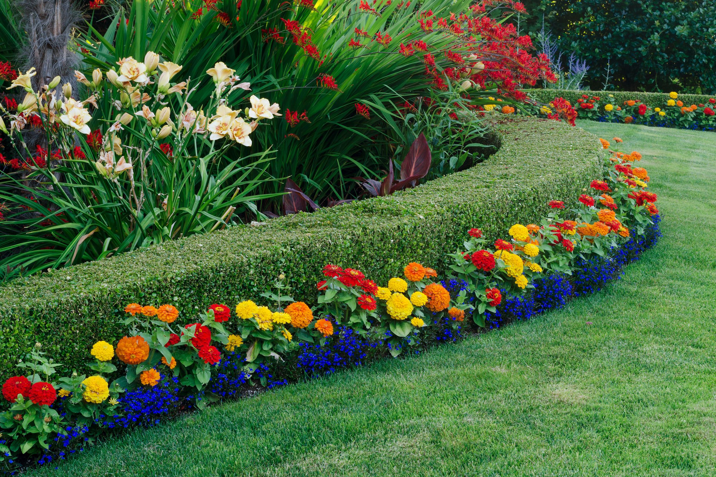 All-State Pest & Lawn in Arlington, TN