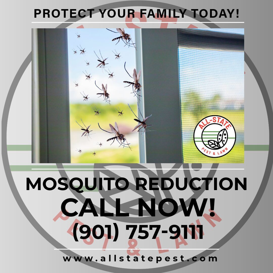 mosquito reduction window